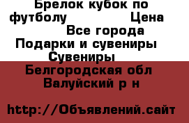 Брелок кубок по футболу Fifa 2018 › Цена ­ 399 - Все города Подарки и сувениры » Сувениры   . Белгородская обл.,Валуйский р-н